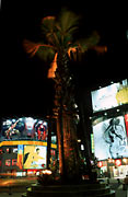 2002-0318-0205